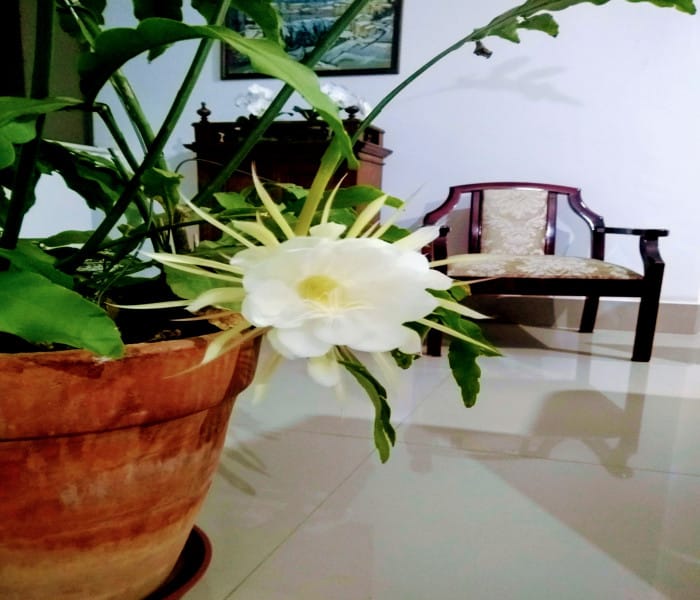 Imagem 6 da galeria do anúncio: Quarto excelente local av Silva Lobo e  Barão Homem de Melo