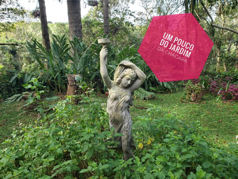 Imagem 18 da galeria do anúncio: Quarto Home Office - Chácara