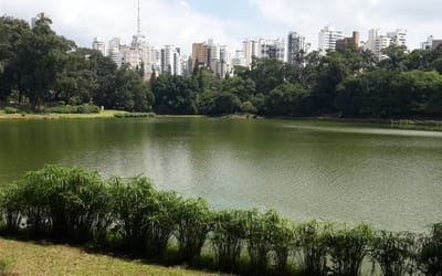 Foto do anúncio