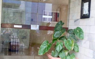 Foto do anúncio