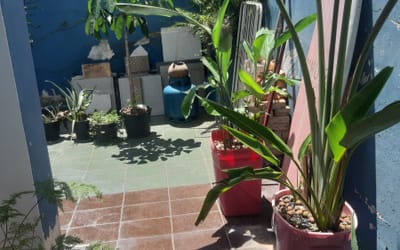 Foto do anúncio