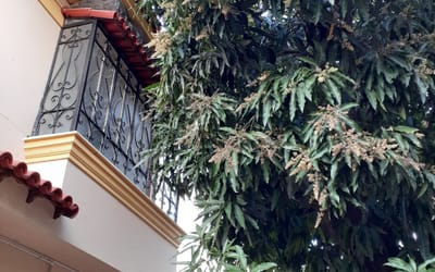 Foto do anúncio