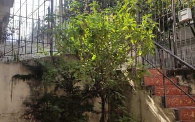 Foto do anúncio