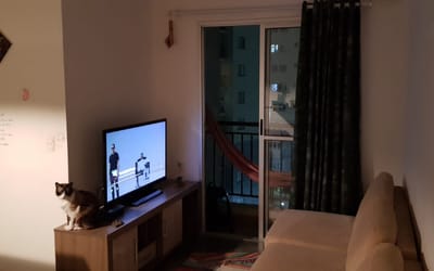 Foto do anúncio