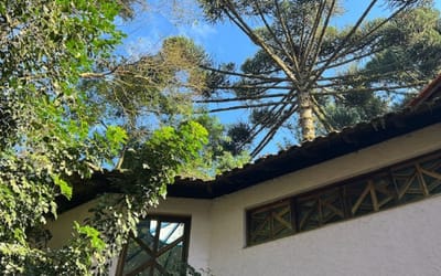 Foto do anúncio