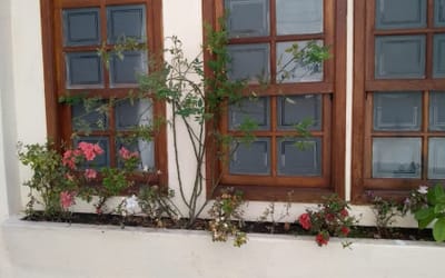 Foto do anúncio
