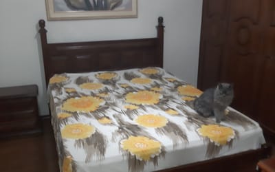 Foto do anúncio