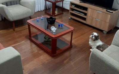 Foto do anúncio