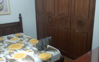 Foto do anúncio