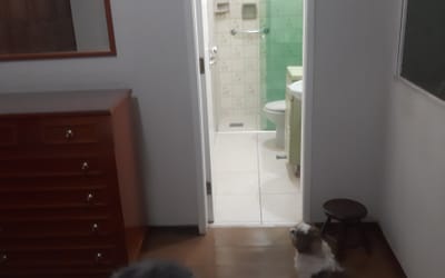 Foto do anúncio