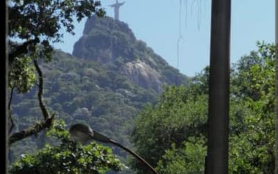 Foto do anúncio