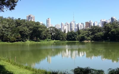 Foto do anúncio