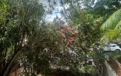 Foto do anúncio
