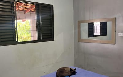 Foto do anúncio