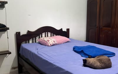 Foto do anúncio