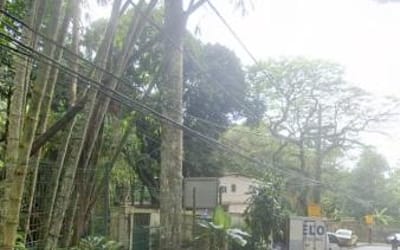 Foto do anúncio