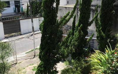 Foto do anúncio