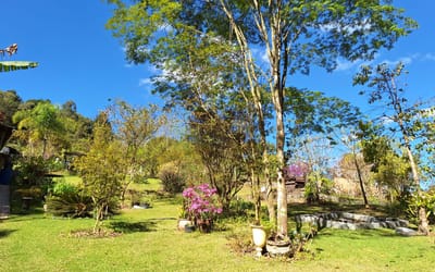 Foto do anúncio