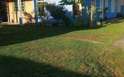 Foto do anúncio