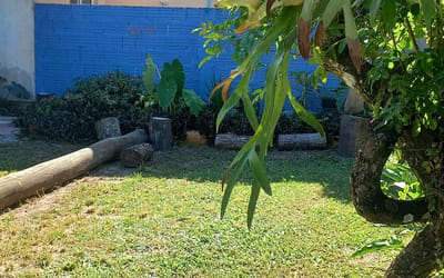 Foto do anúncio
