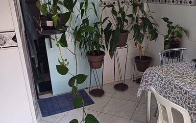Foto do anúncio