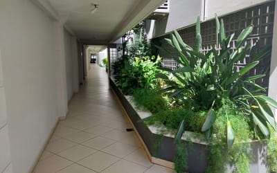 Foto do anúncio