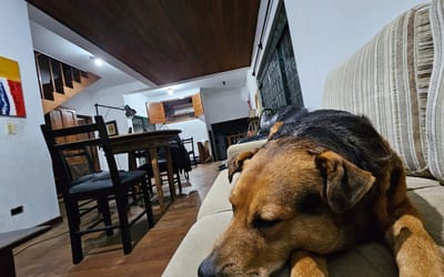 Foto do anúncio