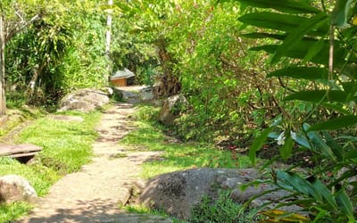 Foto do anúncio