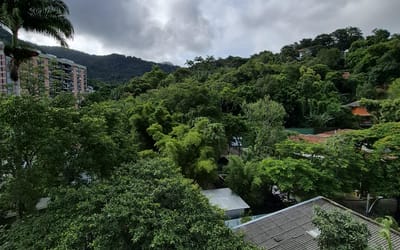 Foto do anúncio