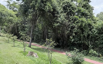 Foto do anúncio