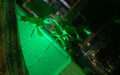 Foto do anúncio