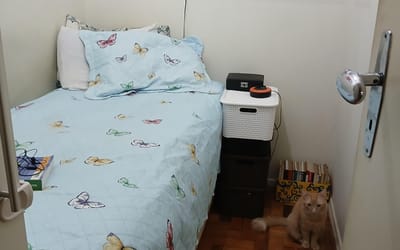 Foto do anúncio