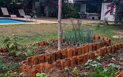 Foto do anúncio