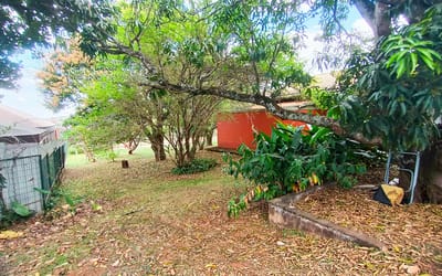 Foto do anúncio