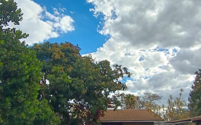 Foto do anúncio