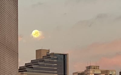 Foto do anúncio