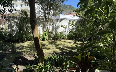 Foto do anúncio