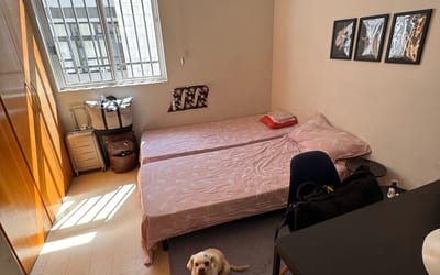 Foto do anúncio
