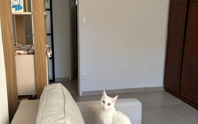 Foto do anúncio