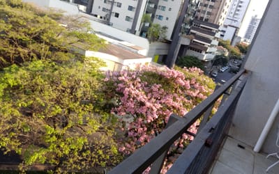 Foto do anúncio