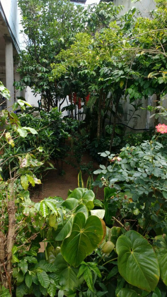 Imagem 8 da galeria do anúncio: QUARTO INDIVIDUAL A 500 M DA USP